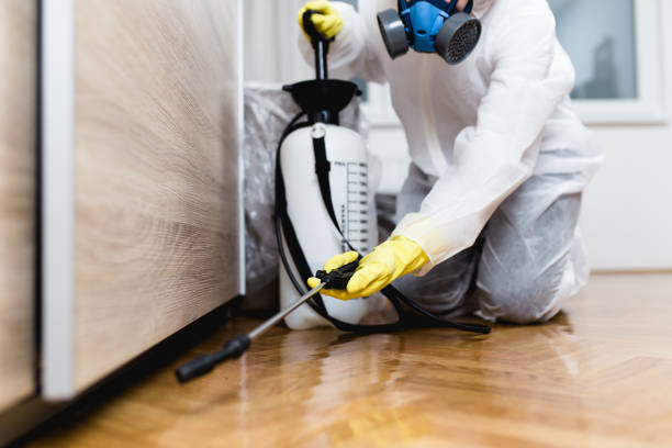 Best Bed Bug Extermination  in Azalea Park, FL