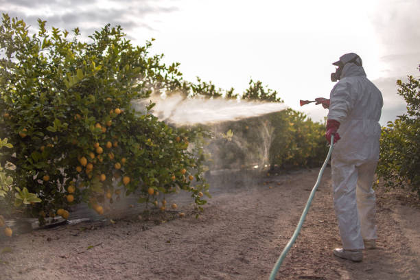 Best Affordable Pest Control Services  in Azalea Park, FL