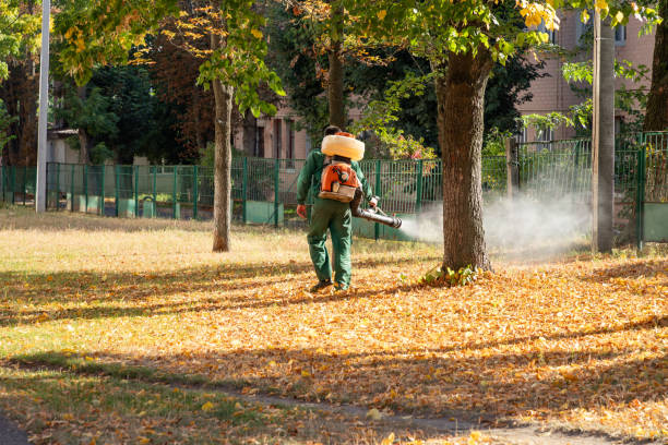 Best Insect Control  in Azalea Park, FL
