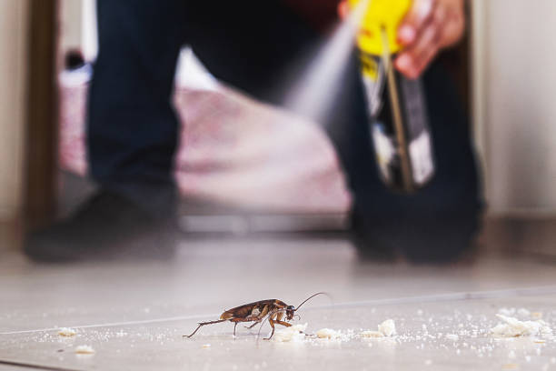 Best Wasp Removal Services  in Azalea Park, FL